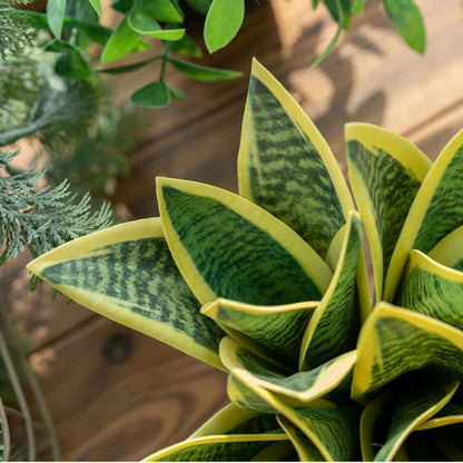 4 Pcs Artificial Snake Plants,Faux Snake Plant 7.48" Tropical Fake Plants Mini Tongue Plant for Home, Office & Garden Décor,Without Vase (Greenish-Yellow)