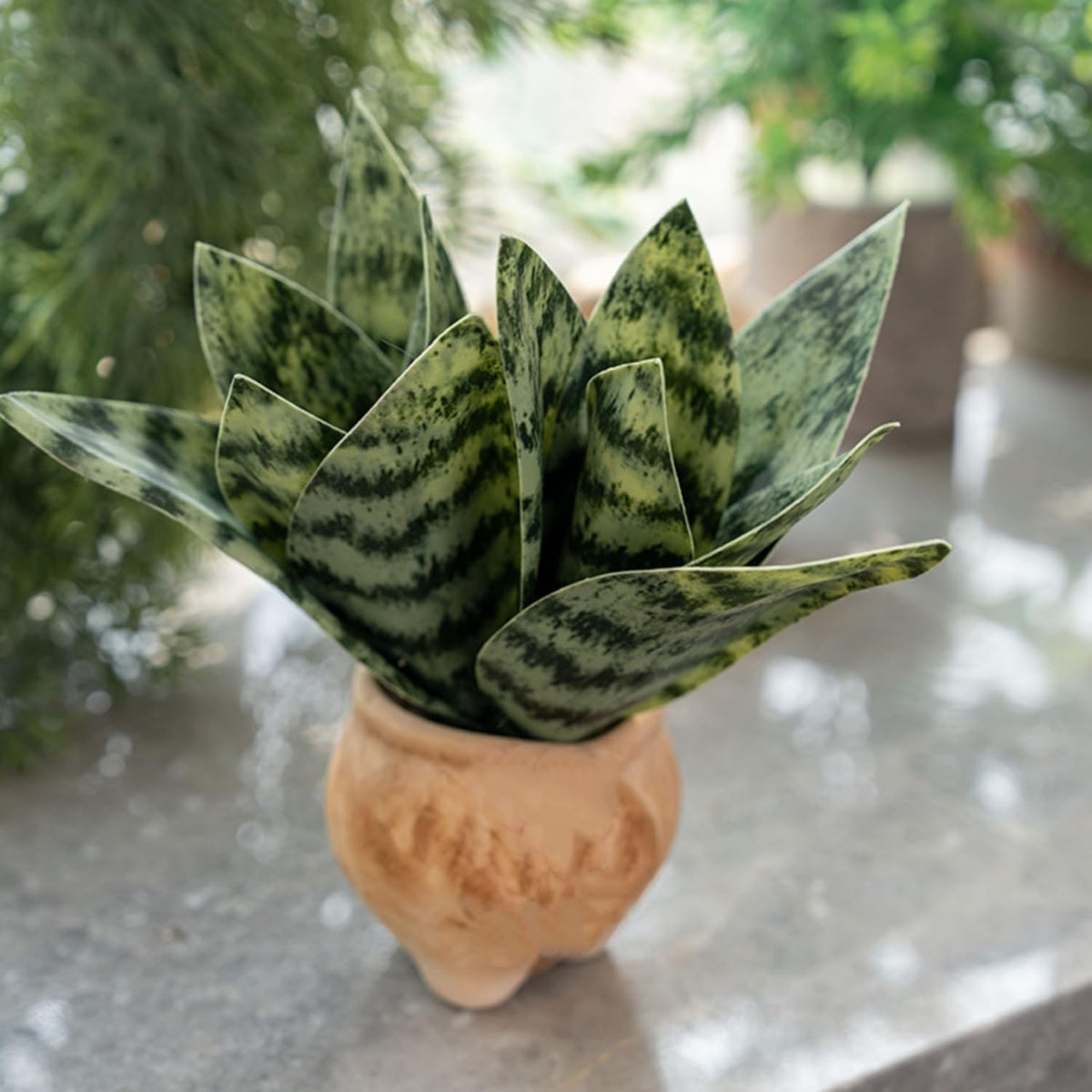 4 Pcs Artificial Snake Plants,Faux Snake Plant 7.48" Tropical Fake Plants Mini Tongue Plant for Home, Office & Garden Décor,Without Vase (Greenish-Yellow)