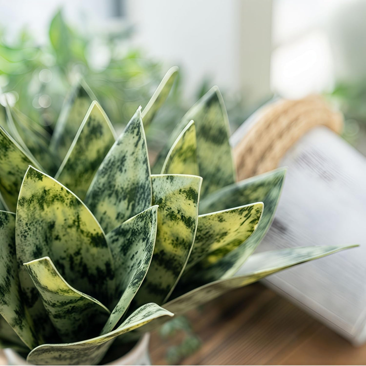 4 Pcs Artificial Snake Plants,Faux Snake Plant 7.48" Tropical Fake Plants Mini Tongue Plant for Home, Office & Garden Décor,Without Vase (Greenish-Yellow)
