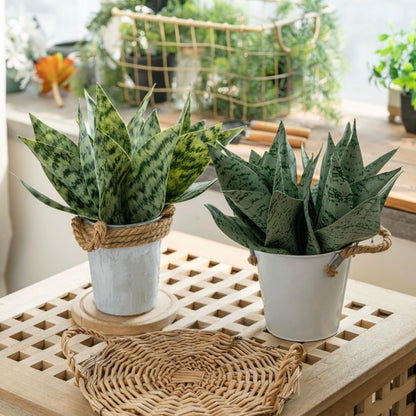4 Pcs Artificial Snake Plants,Faux Snake Plant 7.48" Tropical Fake Plants Mini Tongue Plant for Home, Office & Garden Décor,Without Vase (Greenish-Yellow)