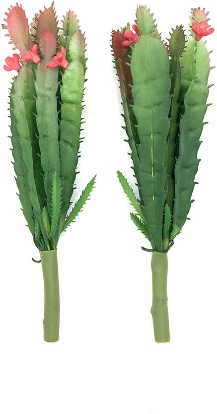2 PCS Mini Artificial Succulents Plants Unpotted Faux Cactus Fake Succulent Bouquet Arrangements Faux Plants DIY for Garden Decor Home Decoration Greenery Set (Mini Cactus)