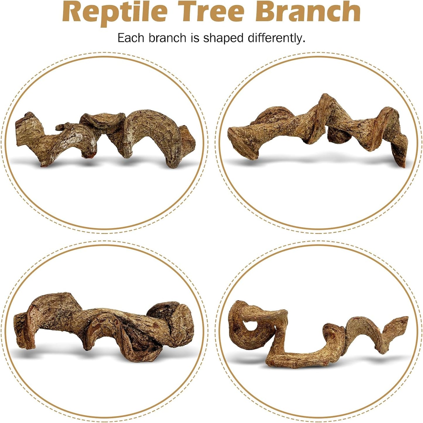 Reptile Climbing Decor 2 Pack Thick Wood Branches Snake Habitat Decorations Terrarium Wooden Tree Trunk Ornament for Bearded Dragon Lizard Snake Geckos Chameleon Frog