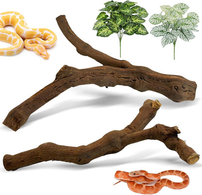 Reptile Climbing Decor 2 Pack Thick Wood Branches Snake Habitat Decorations Terrarium Wooden Tree Trunk Ornament for Bearded Dragon Lizard Snake Geckos Chameleon Frog