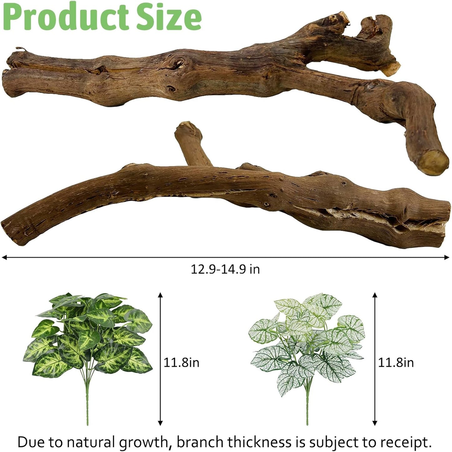Reptile Climbing Decor 2 Pack Thick Wood Branches Snake Habitat Decorations Terrarium Wooden Tree Trunk Ornament for Bearded Dragon Lizard Snake Geckos Chameleon Frog