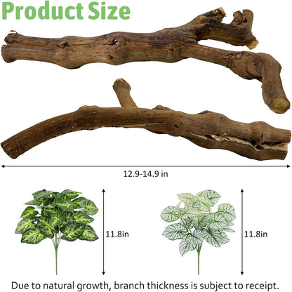 Reptile Climbing Decor 2 Pack Thick Wood Branches Snake Habitat Decorations Terrarium Wooden Tree Trunk Ornament for Bearded Dragon Lizard Snake Geckos Chameleon Frog