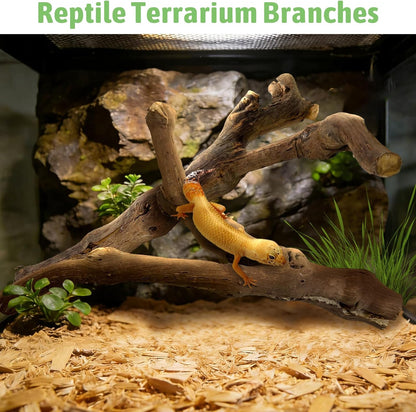 Reptile Climbing Decor 2 Pack Thick Wood Branches Snake Habitat Decorations Terrarium Wooden Tree Trunk Ornament for Bearded Dragon Lizard Snake Geckos Chameleon Frog
