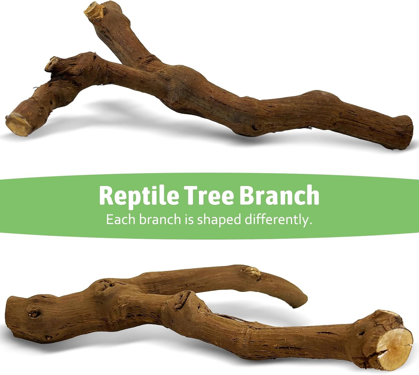 Reptile Climbing Decor 2 Pack Thick Wood Branches Snake Habitat Decorations Terrarium Wooden Tree Trunk Ornament for Bearded Dragon Lizard Snake Geckos Chameleon Frog