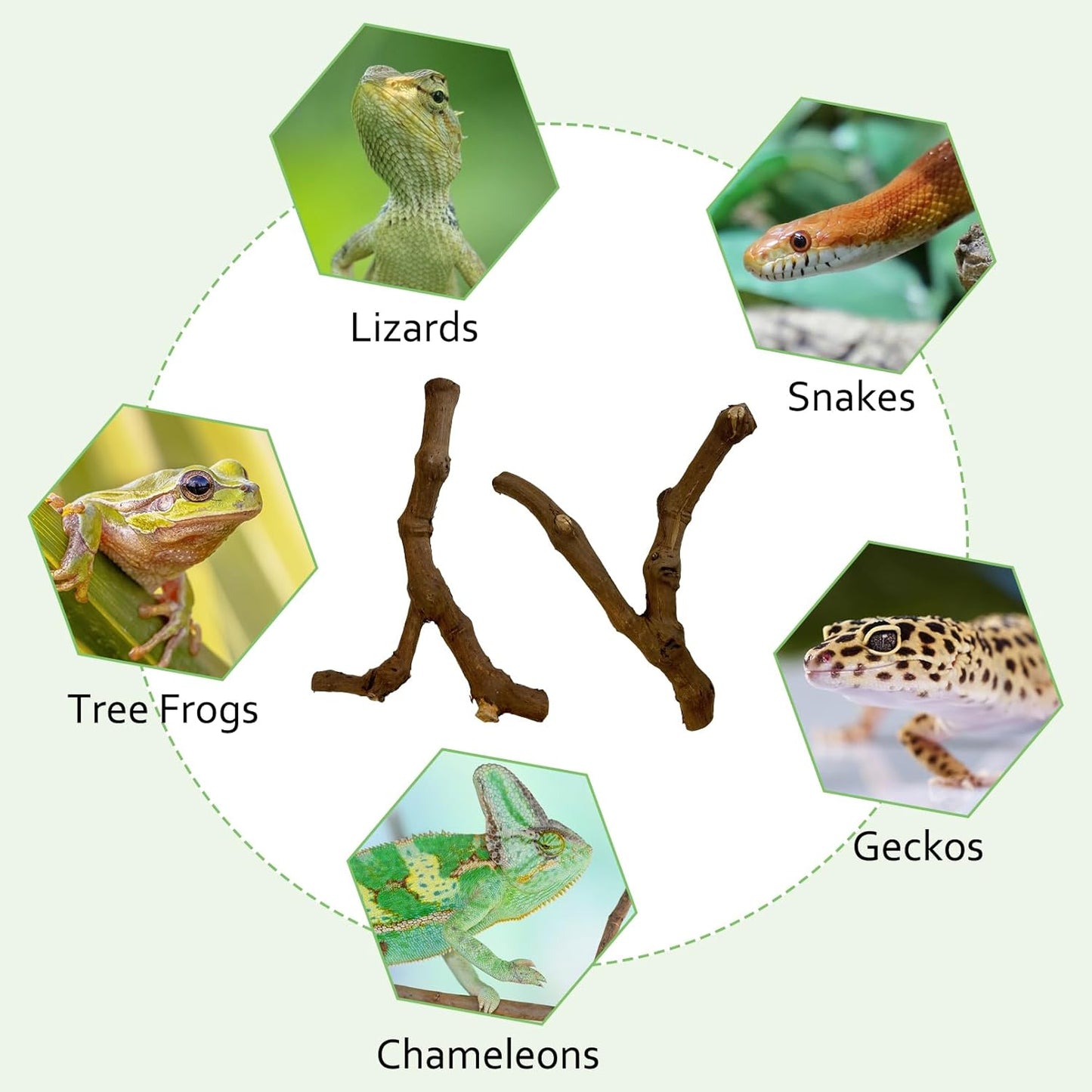 Reptile Climbing Decor 2 Pack Thick Wood Branches Snake Habitat Decorations Terrarium Wooden Tree Trunk Ornament for Bearded Dragon Lizard Snake Geckos Chameleon Frog