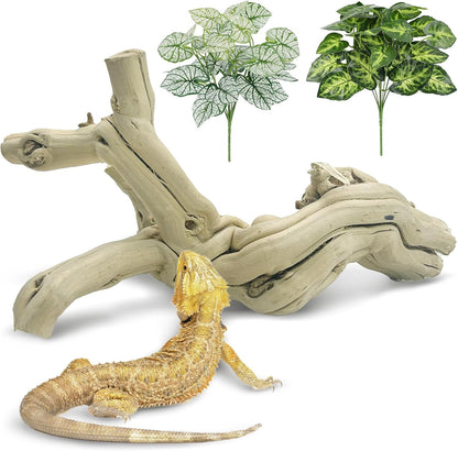 Reptile Climbing Decor 2 Pack Thick Wood Branches Snake Habitat Decorations Terrarium Wooden Tree Trunk Ornament for Bearded Dragon Lizard Snake Geckos Chameleon Frog