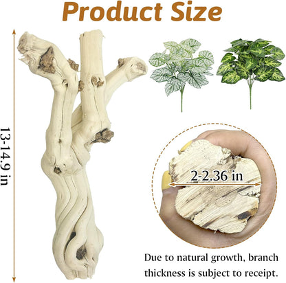 Reptile Climbing Decor 2 Pack Thick Wood Branches Snake Habitat Decorations Terrarium Wooden Tree Trunk Ornament for Bearded Dragon Lizard Snake Geckos Chameleon Frog