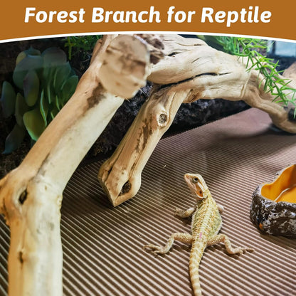 Reptile Climbing Decor 2 Pack Thick Wood Branches Snake Habitat Decorations Terrarium Wooden Tree Trunk Ornament for Bearded Dragon Lizard Snake Geckos Chameleon Frog