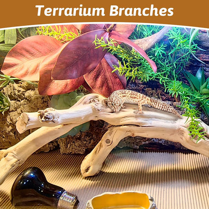 Reptile Climbing Decor 2 Pack Thick Wood Branches Snake Habitat Decorations Terrarium Wooden Tree Trunk Ornament for Bearded Dragon Lizard Snake Geckos Chameleon Frog