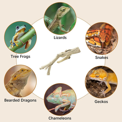 Reptile Climbing Decor 2 Pack Thick Wood Branches Snake Habitat Decorations Terrarium Wooden Tree Trunk Ornament for Bearded Dragon Lizard Snake Geckos Chameleon Frog