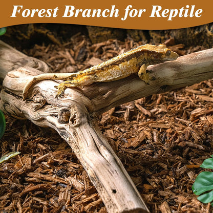 Reptile Climbing Decor 2 Pack Thick Wood Branches Snake Habitat Decorations Terrarium Wooden Tree Trunk Ornament for Bearded Dragon Lizard Snake Geckos Chameleon Frog