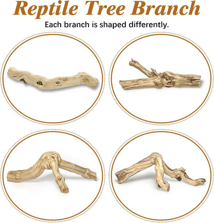 Reptile Climbing Decor 2 Pack Thick Wood Branches Snake Habitat Decorations Terrarium Wooden Tree Trunk Ornament for Bearded Dragon Lizard Snake Geckos Chameleon Frog