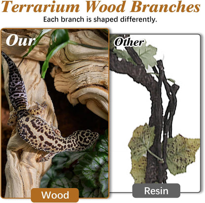 Reptile Climbing Decor 2 Pack Thick Wood Branches Snake Habitat Decorations Terrarium Wooden Tree Trunk Ornament for Bearded Dragon Lizard Snake Geckos Chameleon Frog