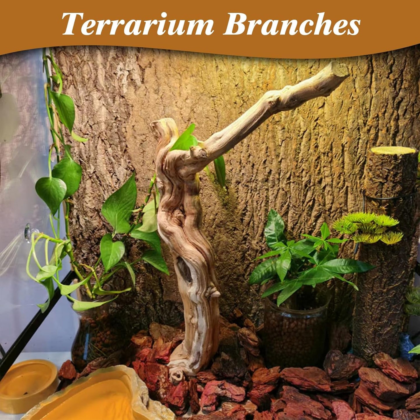 Reptile Climbing Decor 2 Pack Thick Wood Branches Snake Habitat Decorations Terrarium Wooden Tree Trunk Ornament for Bearded Dragon Lizard Snake Geckos Chameleon Frog