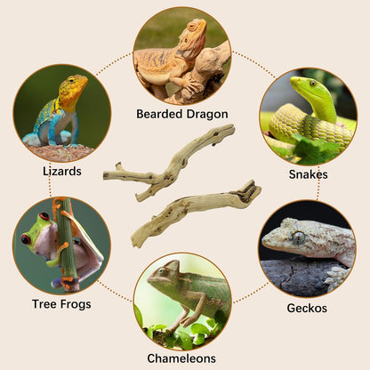 Reptile Climbing Decor 2 Pack Thick Wood Branches Snake Habitat Decorations Terrarium Wooden Tree Trunk Ornament for Bearded Dragon Lizard Snake Geckos Chameleon Frog