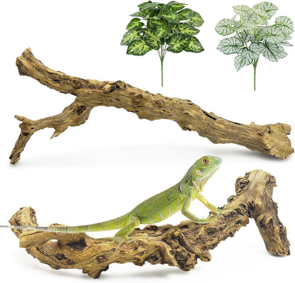 Reptile Climbing Decor 2 Pack Thick Wood Branches Snake Habitat Decorations Terrarium Wooden Tree Trunk Ornament for Bearded Dragon Lizard Snake Geckos Chameleon Frog