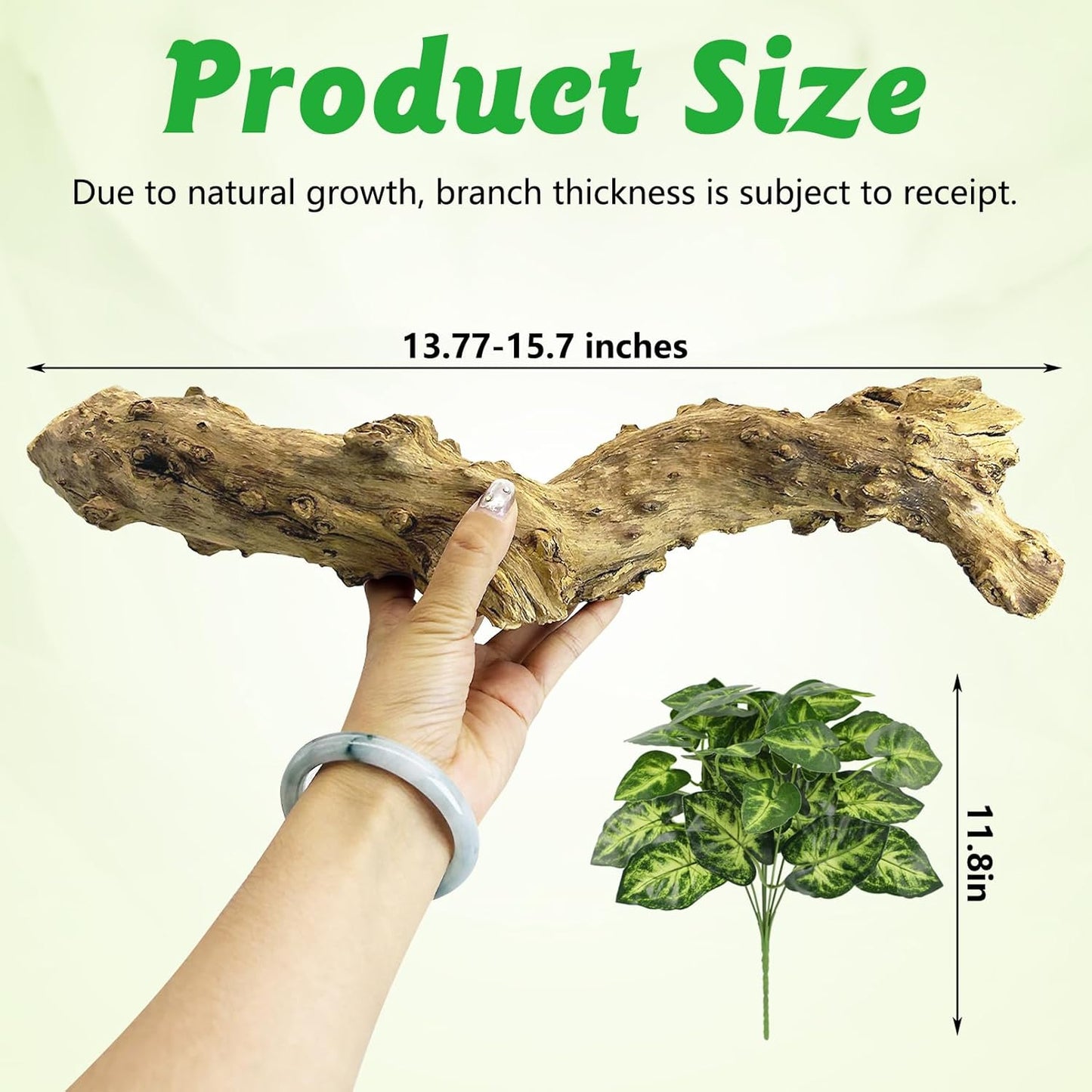 Reptile Climbing Decor 2 Pack Thick Wood Branches Snake Habitat Decorations Terrarium Wooden Tree Trunk Ornament for Bearded Dragon Lizard Snake Geckos Chameleon Frog