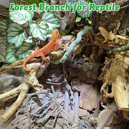 Reptile Climbing Decor 2 Pack Thick Wood Branches Snake Habitat Decorations Terrarium Wooden Tree Trunk Ornament for Bearded Dragon Lizard Snake Geckos Chameleon Frog