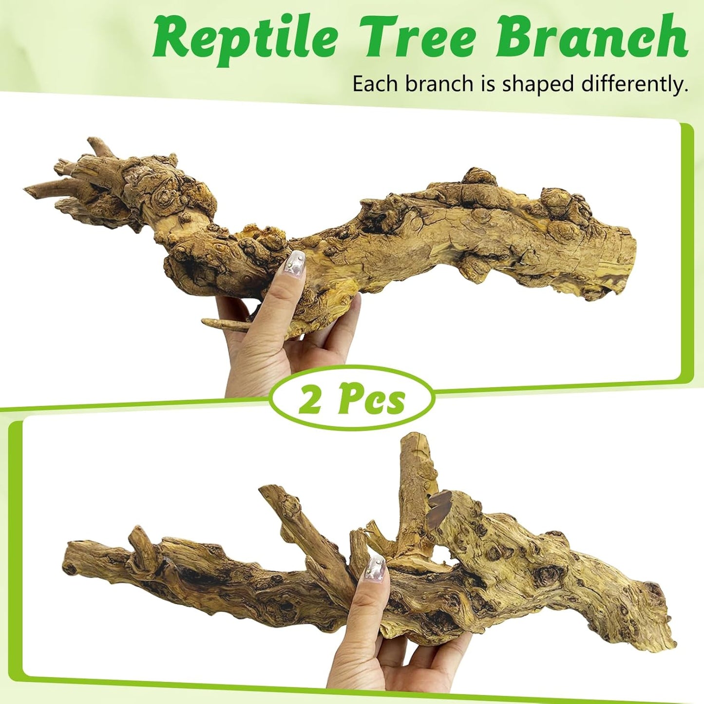 Reptile Climbing Decor 2 Pack Thick Wood Branches Snake Habitat Decorations Terrarium Wooden Tree Trunk Ornament for Bearded Dragon Lizard Snake Geckos Chameleon Frog