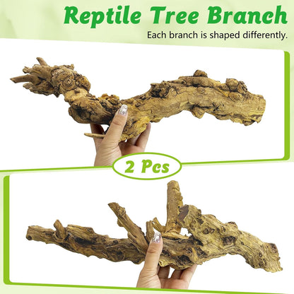 Reptile Climbing Decor 2 Pack Thick Wood Branches Snake Habitat Decorations Terrarium Wooden Tree Trunk Ornament for Bearded Dragon Lizard Snake Geckos Chameleon Frog