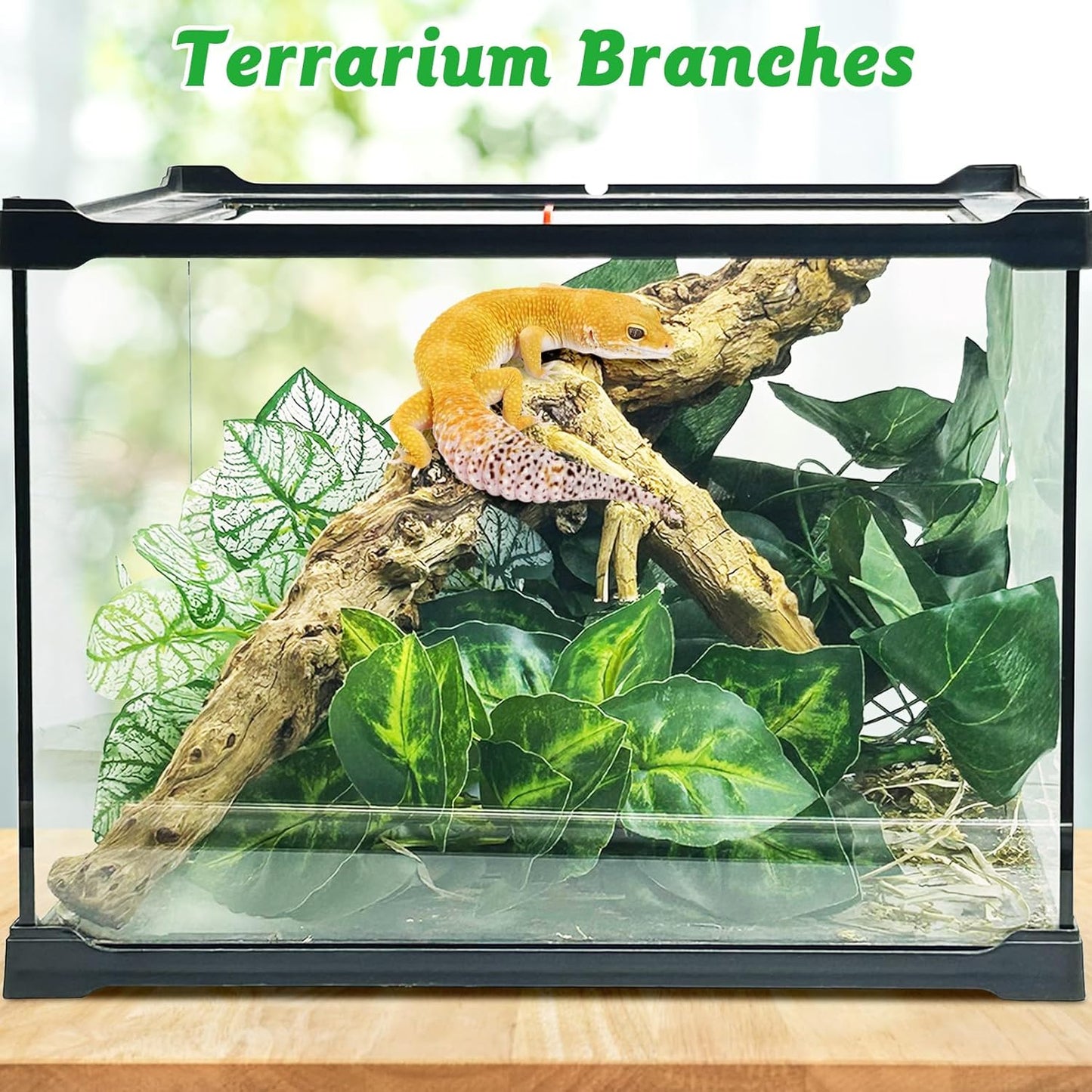 Reptile Climbing Decor 2 Pack Thick Wood Branches Snake Habitat Decorations Terrarium Wooden Tree Trunk Ornament for Bearded Dragon Lizard Snake Geckos Chameleon Frog