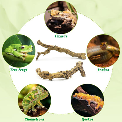 Reptile Climbing Decor 2 Pack Thick Wood Branches Snake Habitat Decorations Terrarium Wooden Tree Trunk Ornament for Bearded Dragon Lizard Snake Geckos Chameleon Frog