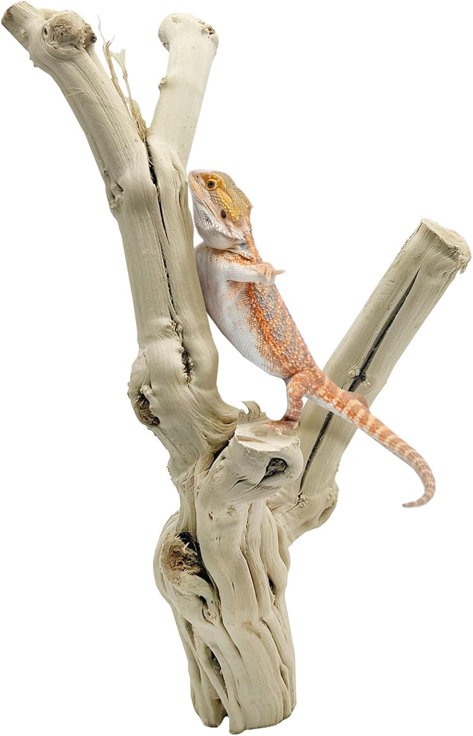 Reptile Climbing Decor 2 Pack Thick Wood Branches Snake Habitat Decorations Terrarium Wooden Tree Trunk Ornament for Bearded Dragon Lizard Snake Geckos Chameleon Frog
