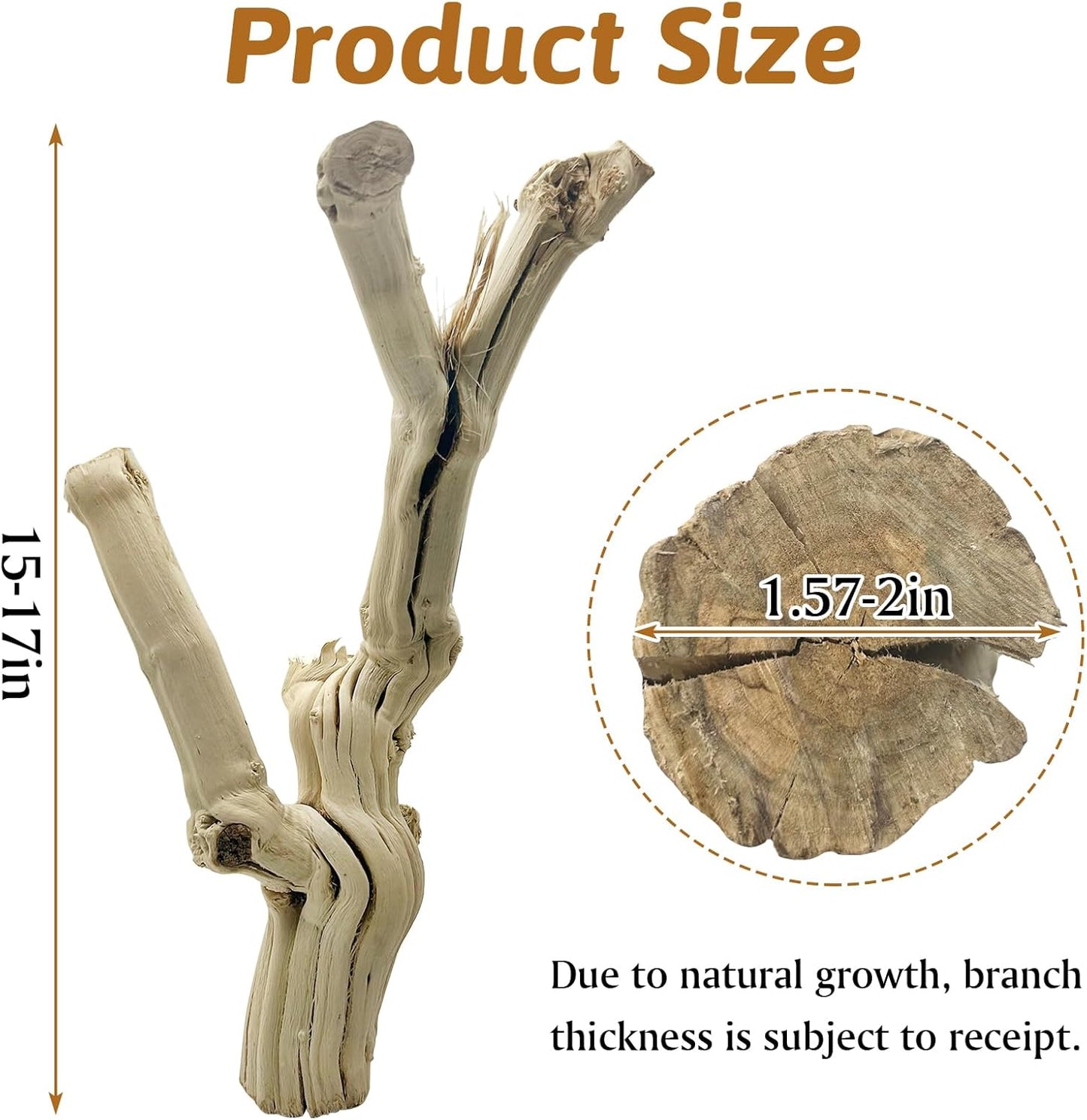 Reptile Climbing Decor 2 Pack Thick Wood Branches Snake Habitat Decorations Terrarium Wooden Tree Trunk Ornament for Bearded Dragon Lizard Snake Geckos Chameleon Frog
