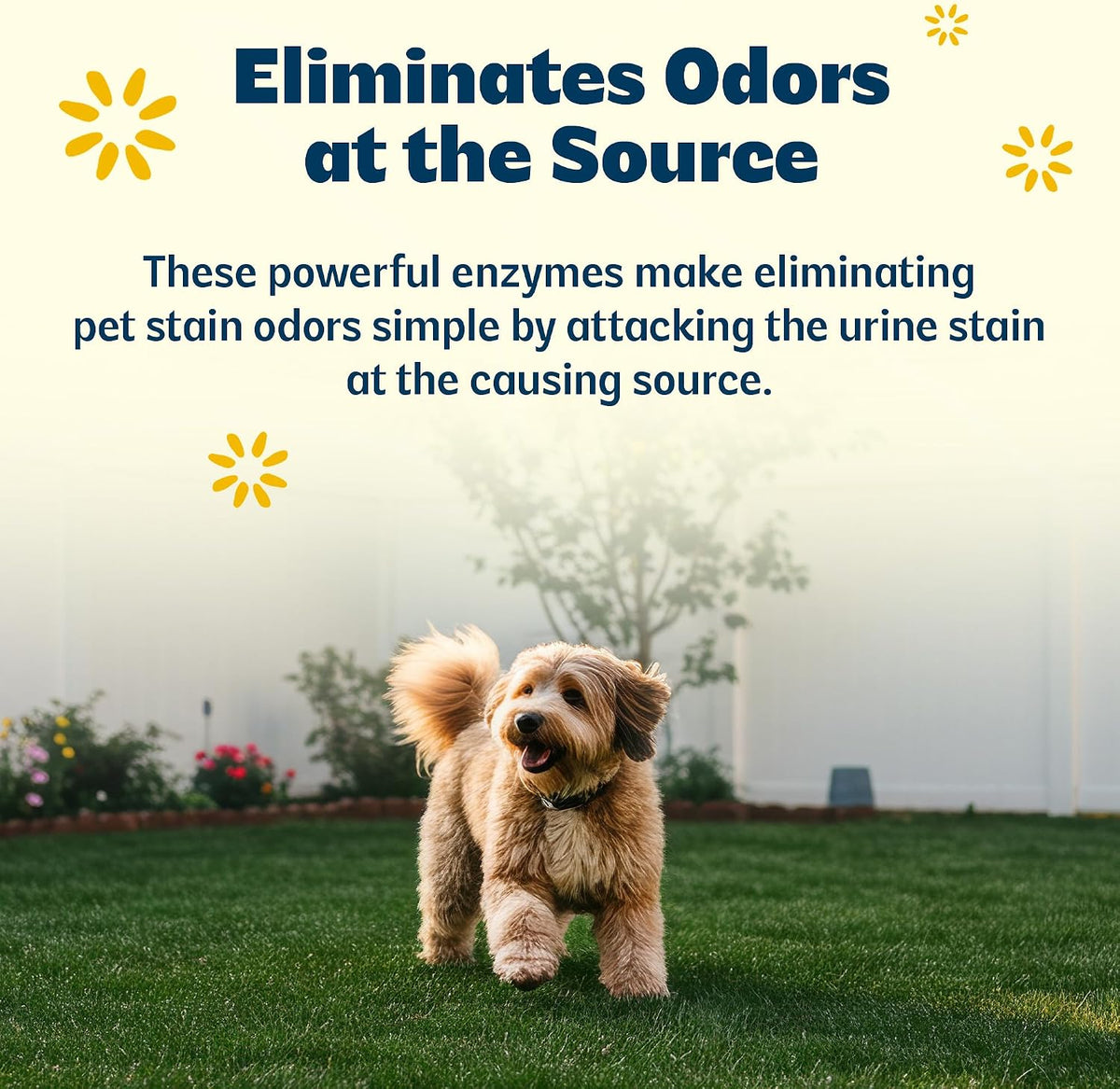 Outdoor Enzyme Cleaner for Pet Odors & Turf, 1 Gallon