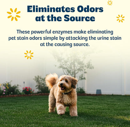 Outdoor Enzyme Cleaner for Pet Odors & Turf, 1 Gallon