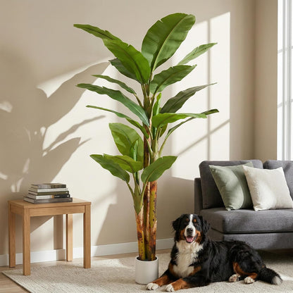 7FT Artificial Banana Tree Luxury Faux Banana Plant Fake Tree for Living Room Decor Extra Large Tropical Tree Indoor Floor Plant Home Modern Office Greenery Big Tall Fake Plants Corner Decor