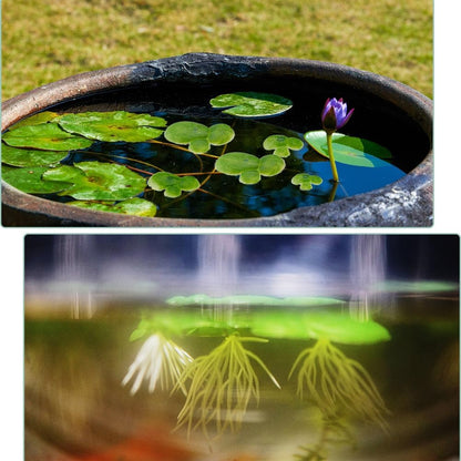 90PCS 3 Sizes Artificial Floating Duckweed Plastic Aquarium Floating Plant Artificial Floatings Plants Fish Tank Plant Simulation Floatings Plants for Fish Tank Aquariums