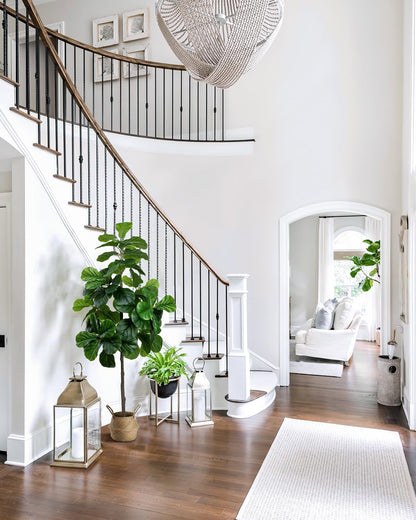 5.5FT Artificial Fiddle Leaf Fig Tree Faux Indoor | Large Tall Fake Trees with White Planter, Ficus Lyrata Floor Plants for Home Decor Office Living Room Housewarming