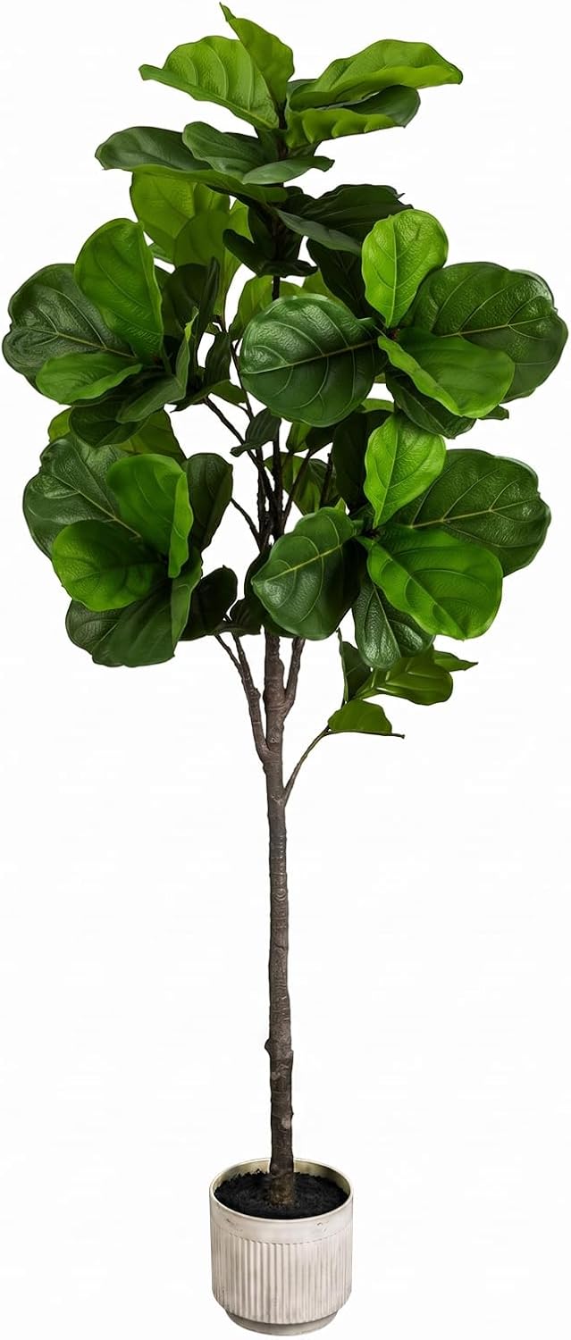 5.5FT Artificial Fiddle Leaf Fig Tree Faux Indoor | Large Tall Fake Trees with White Planter, Ficus Lyrata Floor Plants for Home Decor Office Living Room Housewarming