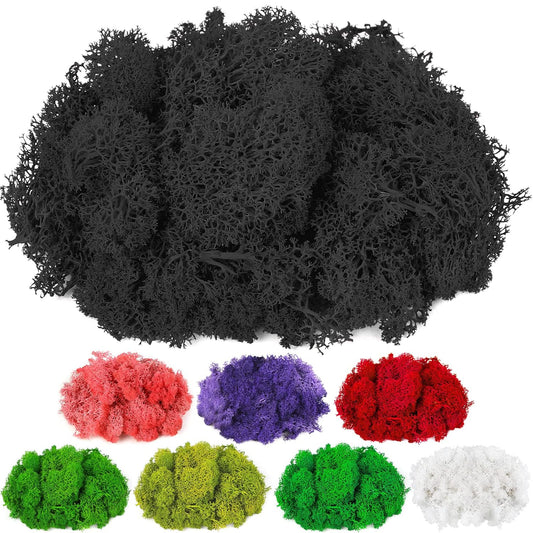Moss Preserved, 4 OZ Fake Reindeer Moss for Potted Plants for Craft Arts Floral Wall Decor Wedding Centerpieces Fairy Garden Artificial Terrariums Decoration for Christmas(Black)