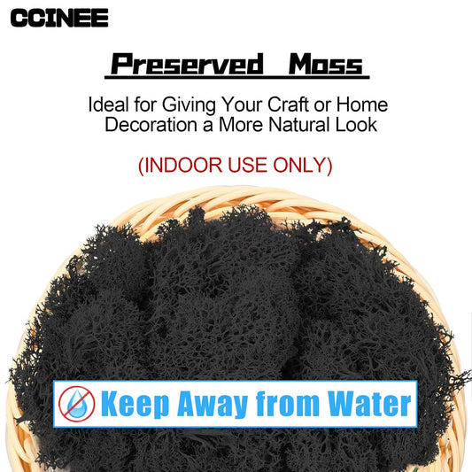 Moss Preserved, 4 OZ Fake Reindeer Moss for Potted Plants for Craft Arts Floral Wall Decor Wedding Centerpieces Fairy Garden Artificial Terrariums Decoration for Christmas(Black)