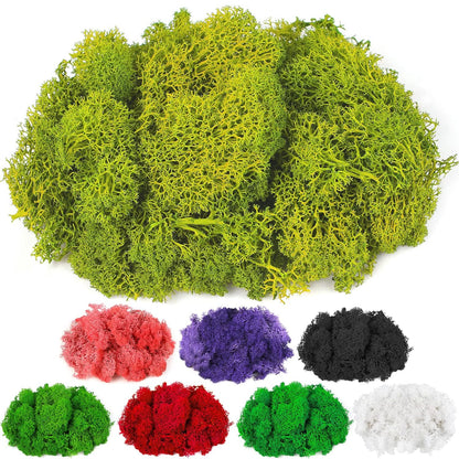 Moss Preserved, 4 OZ Fake Reindeer Moss for Potted Plants for Craft Arts Floral Wall Decor Wedding Centerpieces Fairy Garden Artificial Terrariums Decoration for Christmas(Black)