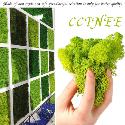 Moss Preserved, 4 OZ Fake Reindeer Moss for Potted Plants for Craft Arts Floral Wall Decor Wedding Centerpieces Fairy Garden Artificial Terrariums Decoration for Christmas(Black)