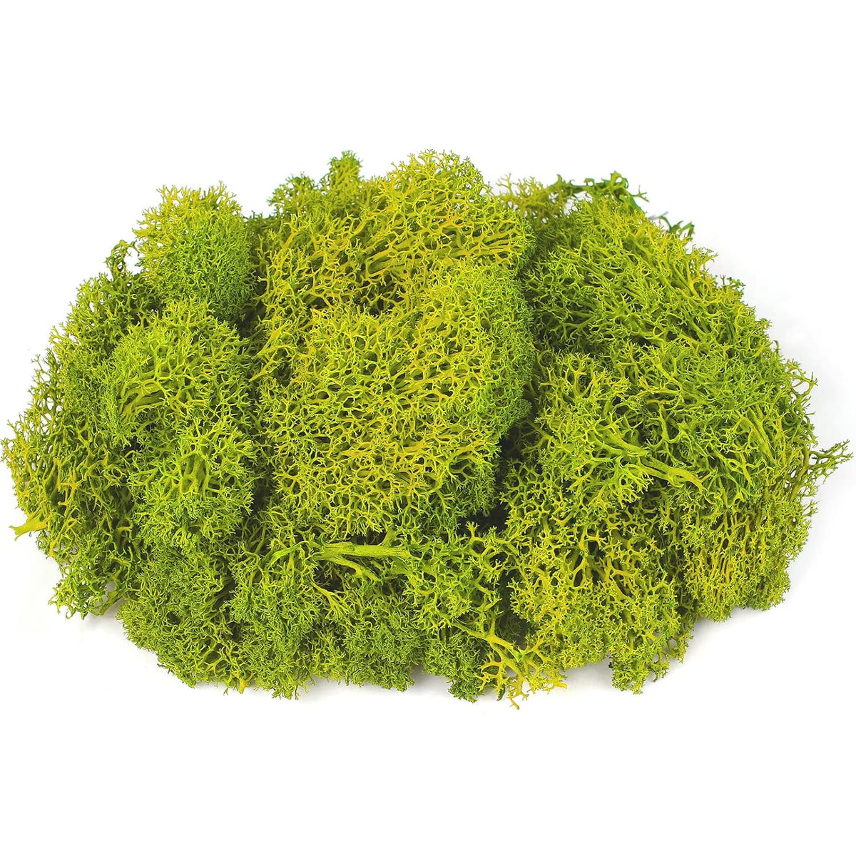 Moss Preserved, 4 OZ Fake Reindeer Moss for Potted Plants for Craft Arts Floral Wall Decor Wedding Centerpieces Fairy Garden Artificial Terrariums Decoration for Christmas(Black)