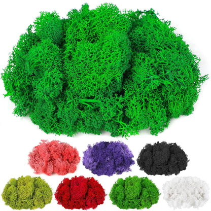 Moss Preserved, 4 OZ Fake Reindeer Moss for Potted Plants for Craft Arts Floral Wall Decor Wedding Centerpieces Fairy Garden Artificial Terrariums Decoration for Christmas(Black)
