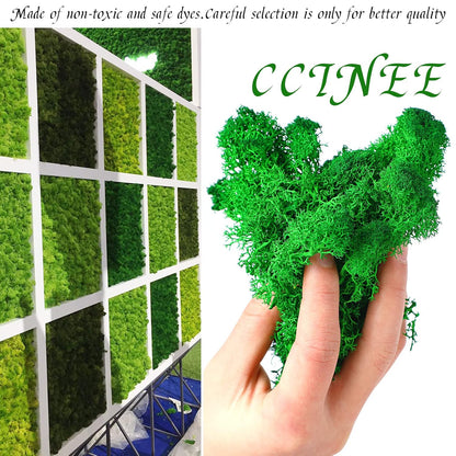 Moss Preserved, 4 OZ Fake Reindeer Moss for Potted Plants for Craft Arts Floral Wall Decor Wedding Centerpieces Fairy Garden Artificial Terrariums Decoration for Christmas(Black)