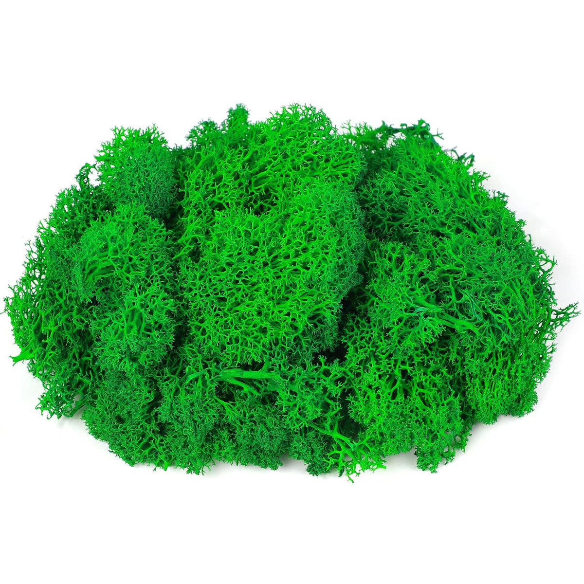 Moss Preserved, 4 OZ Fake Reindeer Moss for Potted Plants for Craft Arts Floral Wall Decor Wedding Centerpieces Fairy Garden Artificial Terrariums Decoration for Christmas(Black)