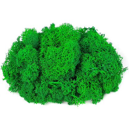 Moss Preserved, 4 OZ Fake Reindeer Moss for Potted Plants for Craft Arts Floral Wall Decor Wedding Centerpieces Fairy Garden Artificial Terrariums Decoration for Christmas(Black)