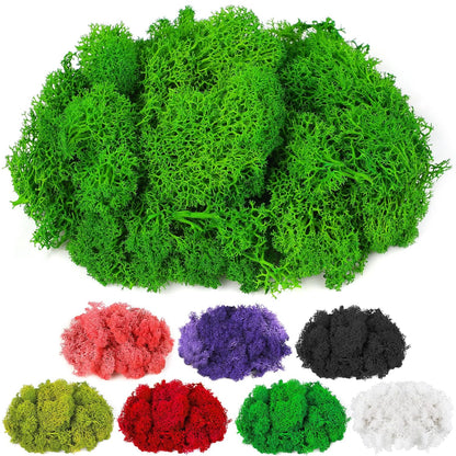 Moss Preserved, 4 OZ Fake Reindeer Moss for Potted Plants for Craft Arts Floral Wall Decor Wedding Centerpieces Fairy Garden Artificial Terrariums Decoration for Christmas(Black)