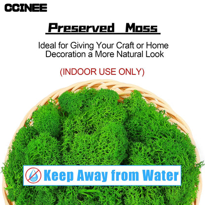 Moss Preserved, 4 OZ Fake Reindeer Moss for Potted Plants for Craft Arts Floral Wall Decor Wedding Centerpieces Fairy Garden Artificial Terrariums Decoration for Christmas(Black)
