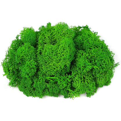 Moss Preserved, 4 OZ Fake Reindeer Moss for Potted Plants for Craft Arts Floral Wall Decor Wedding Centerpieces Fairy Garden Artificial Terrariums Decoration for Christmas(Black)