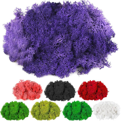 Moss Preserved, 4 OZ Fake Reindeer Moss for Potted Plants for Craft Arts Floral Wall Decor Wedding Centerpieces Fairy Garden Artificial Terrariums Decoration for Christmas(Black)